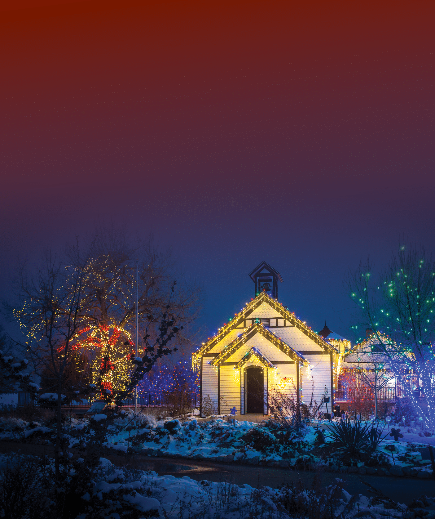 trail of lights