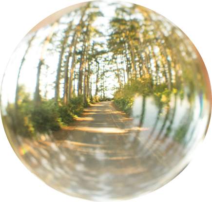 Polygon