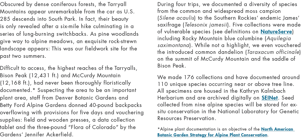 Obscured by dense coniferous forests, the Tarryall Mountains appear unremarkable from the car as U.S. 285 descends in...