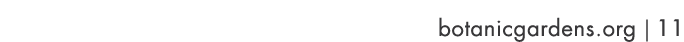 botanicgardens org   11