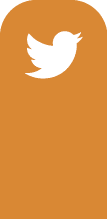 twitter button