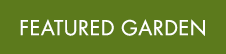 Featured Garden