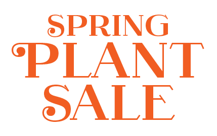 Spring,Plant Sal