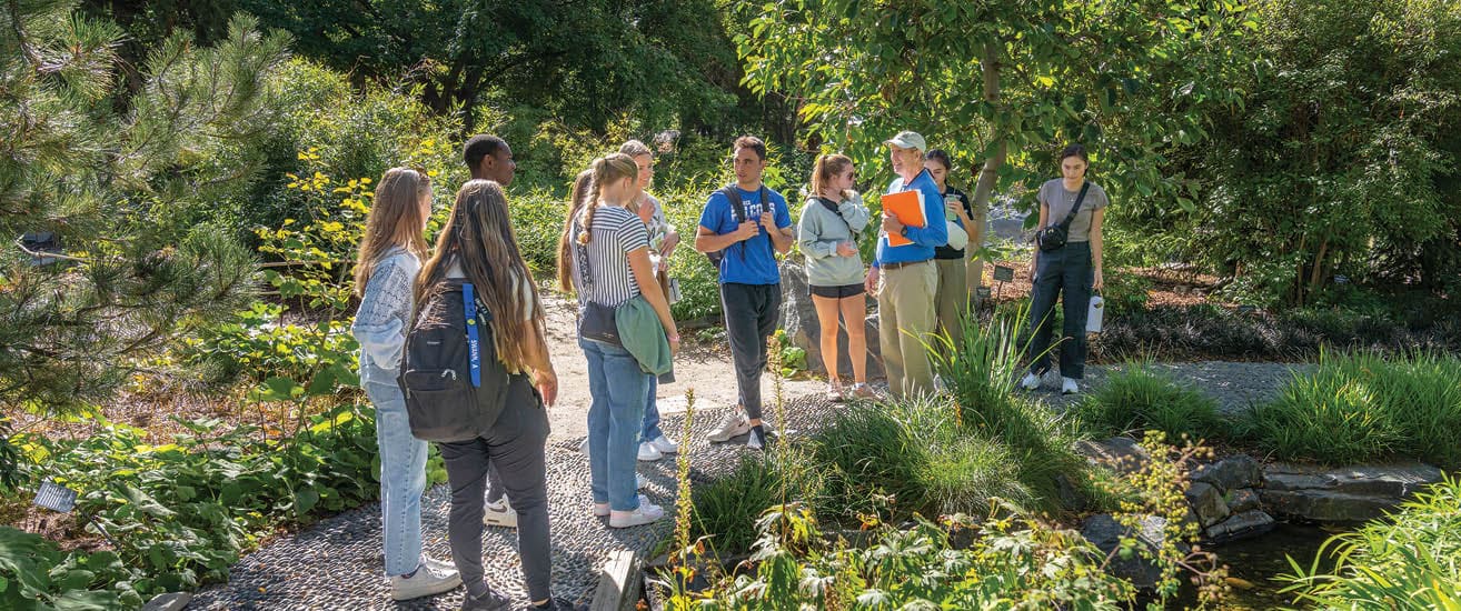 Rectangle