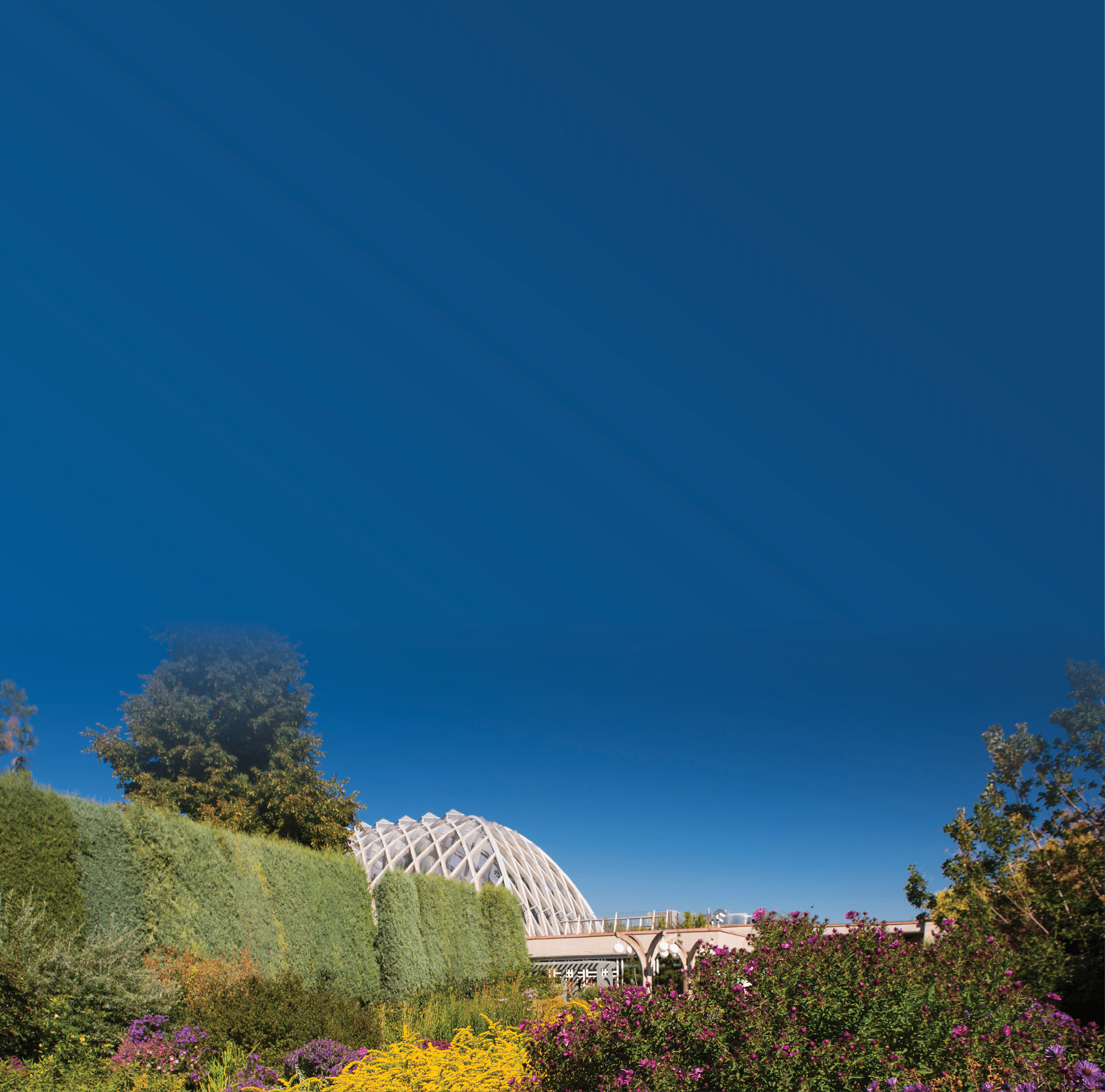 late summer gardens