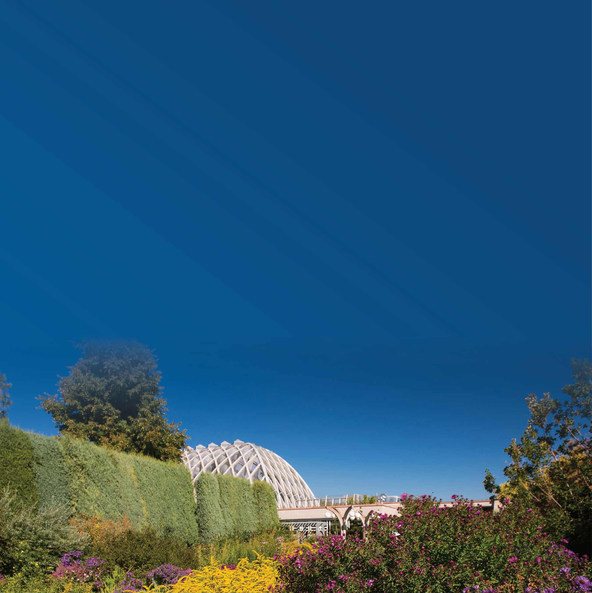 late summer gardens