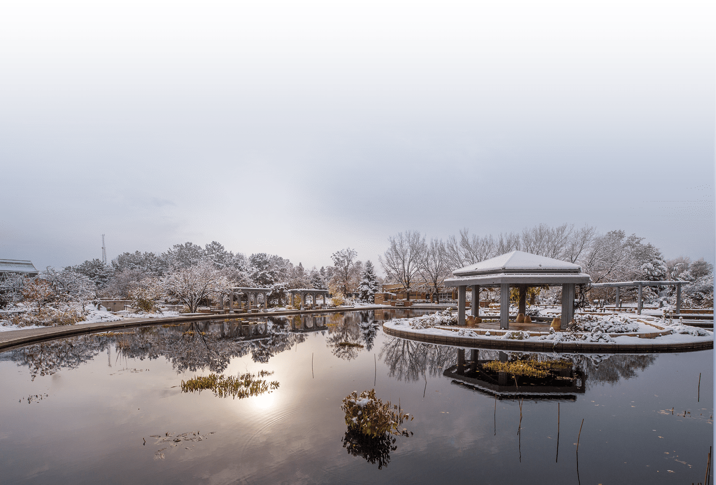 fall snow