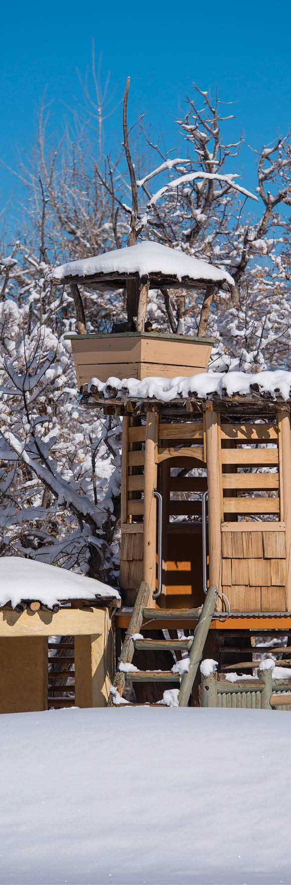winter chatfield